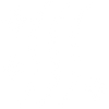 <p><strong>Shine That Lasts</strong></p>