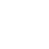 <p><strong>Frizz & Flyaway Control</strong></p>